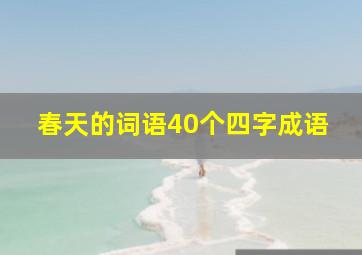 春天的词语40个四字成语