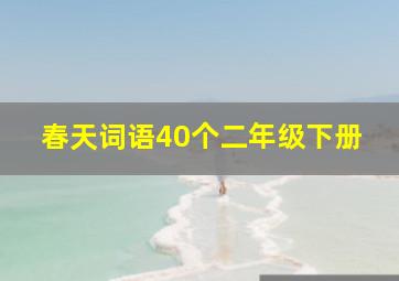 春天词语40个二年级下册