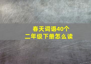 春天词语40个二年级下册怎么读