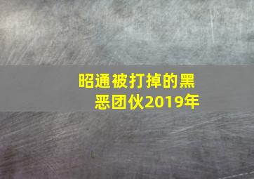 昭通被打掉的黑恶团伙2019年