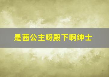 是茜公主呀殿下啊绅士