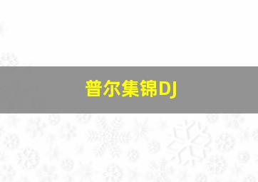 普尔集锦DJ