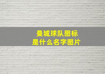 曼城球队图标是什么名字图片