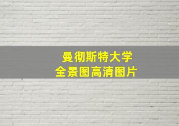 曼彻斯特大学全景图高清图片