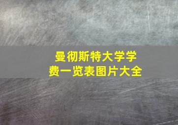 曼彻斯特大学学费一览表图片大全