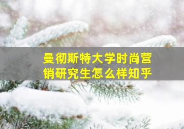 曼彻斯特大学时尚营销研究生怎么样知乎