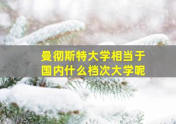 曼彻斯特大学相当于国内什么档次大学呢