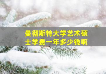 曼彻斯特大学艺术硕士学费一年多少钱啊