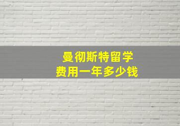 曼彻斯特留学费用一年多少钱