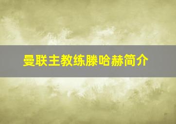 曼联主教练滕哈赫简介