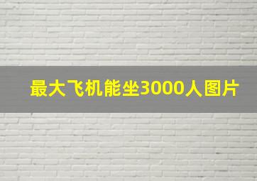 最大飞机能坐3000人图片