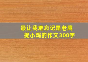 最让我难忘记是老鹰捉小鸡的作文300字