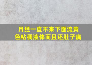 月经一直不来下面流黄色粘稠液体而且还肚子痛