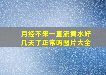 月经不来一直流黄水好几天了正常吗图片大全