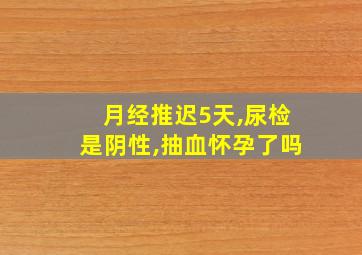 月经推迟5天,尿检是阴性,抽血怀孕了吗