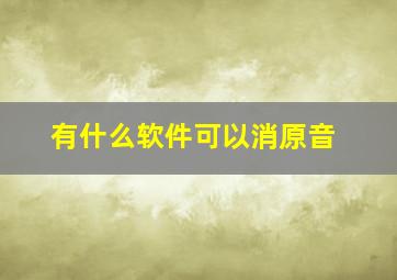 有什么软件可以消原音