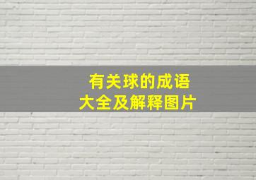 有关球的成语大全及解释图片