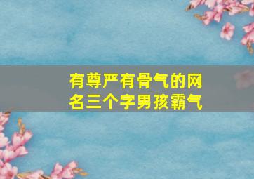 有尊严有骨气的网名三个字男孩霸气