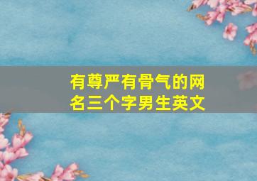 有尊严有骨气的网名三个字男生英文