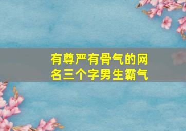 有尊严有骨气的网名三个字男生霸气