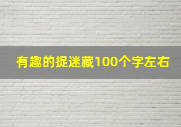 有趣的捉迷藏100个字左右