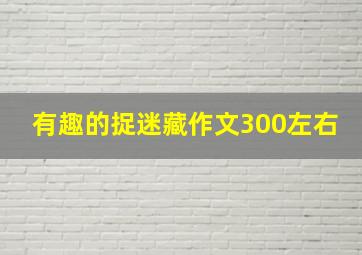 有趣的捉迷藏作文300左右