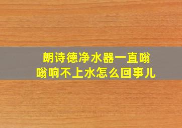 朗诗德净水器一直嗡嗡响不上水怎么回事儿