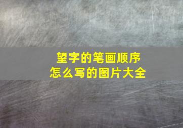 望字的笔画顺序怎么写的图片大全