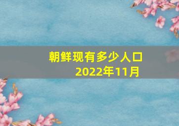 朝鲜现有多少人口2022年11月