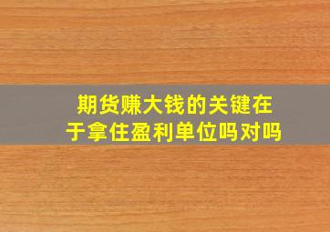 期货赚大钱的关键在于拿住盈利单位吗对吗