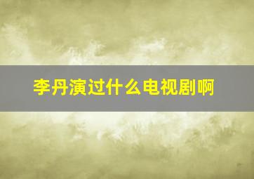 李丹演过什么电视剧啊