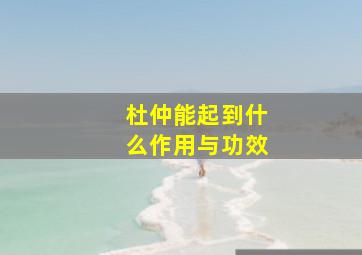 杜仲能起到什么作用与功效