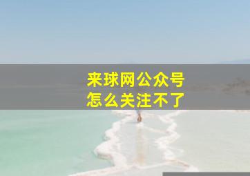 来球网公众号怎么关注不了