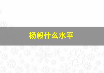 杨毅什么水平