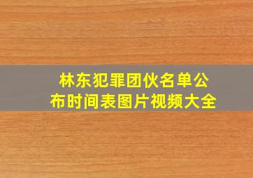 林东犯罪团伙名单公布时间表图片视频大全