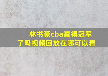 林书豪cba赢得冠军了吗视频回放在哪可以看