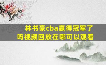 林书豪cba赢得冠军了吗视频回放在哪可以观看