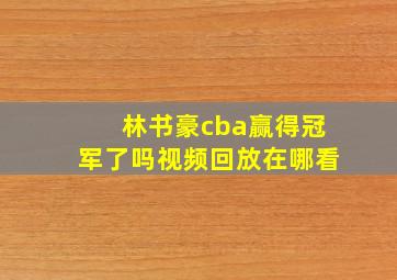 林书豪cba赢得冠军了吗视频回放在哪看