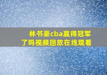 林书豪cba赢得冠军了吗视频回放在线观看