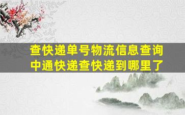 查快递单号物流信息查询中通快递查快递到哪里了