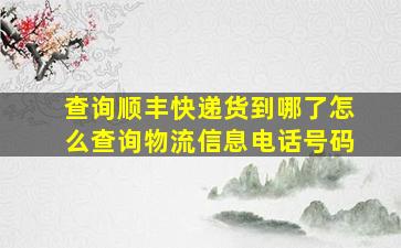 查询顺丰快递货到哪了怎么查询物流信息电话号码