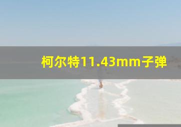 柯尔特11.43mm子弹