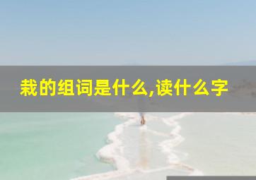 栽的组词是什么,读什么字