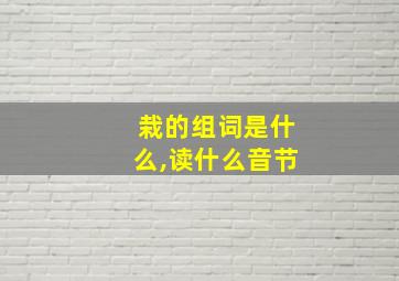 栽的组词是什么,读什么音节