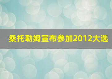 桑托勒姆宣布参加2012大选