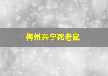 梅州兴宁死老鼠