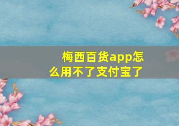 梅西百货app怎么用不了支付宝了