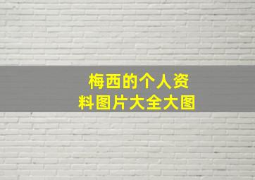 梅西的个人资料图片大全大图