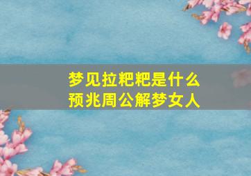 梦见拉粑粑是什么预兆周公解梦女人