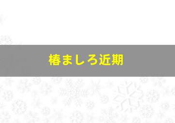 椿ましろ近期